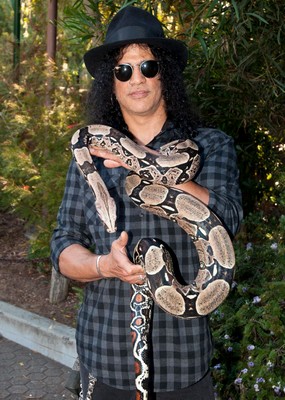 Slash with a snake