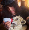 Slash with animals photo & picture gallery