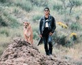 Slash with animals photo & picture gallery