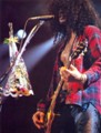 Slash live photo & picture gallery