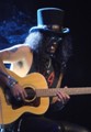 Slash live photo & picture gallery