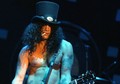 Slash live photo & picture gallery