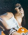 Slash live photo & picture gallery