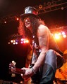 Slash live photo & picture gallery