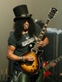 Slash live photo & picture gallery