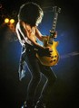 Slash live photo & picture gallery