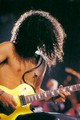 Slash live photo & picture gallery