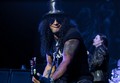 Slash live photo & picture gallery