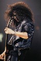 Slash live photo & picture gallery