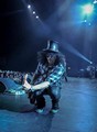 Slash live photo & picture gallery