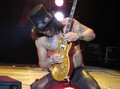 Slash live photo & picture gallery