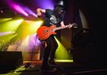 Slash live photo & picture gallery