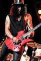 Slash live photo & picture gallery