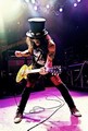 Slash live photo & picture gallery