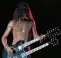 Slash live photo & picture gallery