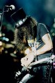 Slash live photo & picture gallery