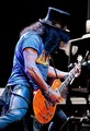 Slash live photo & picture gallery