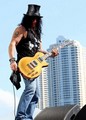 Slash live photo & picture gallery