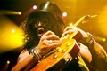 Slash live photo & picture gallery