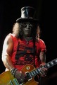 Slash live photo & picture gallery