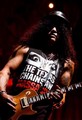 Slash live photo & picture gallery