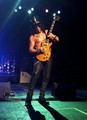 Slash live photo & picture gallery