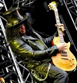 Slash live photo & picture gallery