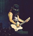 Slash live photo & picture gallery