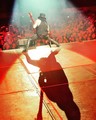 Slash live photo & picture gallery