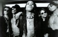 Slash's Snakepit photo & picture gallery