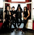 Slash's Snakepit photo & picture gallery