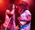 Slash's Snakepit photo & picture gallery