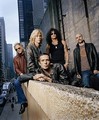 Velvet Revolver photo & picture gallery