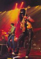 Velvet Revolver photo & picture gallery